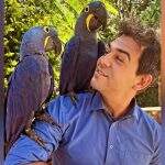 ‘Vovô das araras’, Moacir convence aves de longe e repórter consegue selfie tão desejada