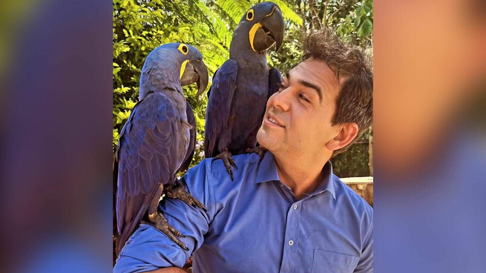 ‘Vovô das araras’, Moacir convence aves de longe e repórter consegue selfie tão desejada