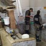Polícia Ambiental fiscaliza mais de 10 toneladas de pescado em Dourados