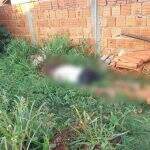Pedreiro morto na fronteira é genro de casal assassinado a tiros em Campo Grande