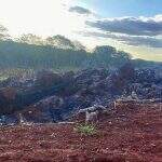 Proprietário rural é multado em R$ 22 mil por incendiar restos de vegetação em leiras