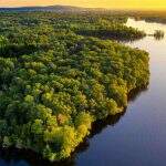 Noruega anuncia nova doação de R$ 245 milhões ao Fundo Amazônia