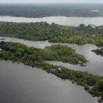 Mais de 8 mil pessoas foram assassinadas na Amazônia Legal em 2022
