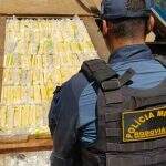 Caminhoneiro é preso com R$ 20 milhões em cocaína após ser contratado por WhatsApp