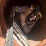 Bombeiros salvam gato que caiu em bueiro de nove metros de profundidade