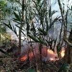 Bombeiros começam trabalhos para evitar novos incêndios em reserva indígena de Corumbá