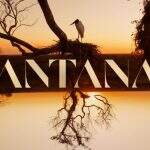 ‘Pantanal’ ganha categoria de ‘Melhor Telenovela’ em premiação internacional