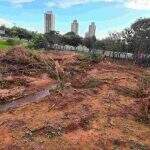 Prefeitura espera fim das chuvas para plantar mudas em clareira aberta no parque do Sóter