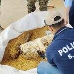 Polícia paraguaia procura dono de cocaína avaliada em US$ 40 bilhões
