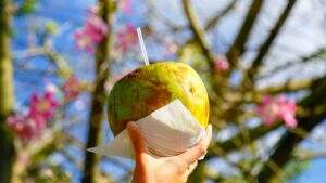 calor