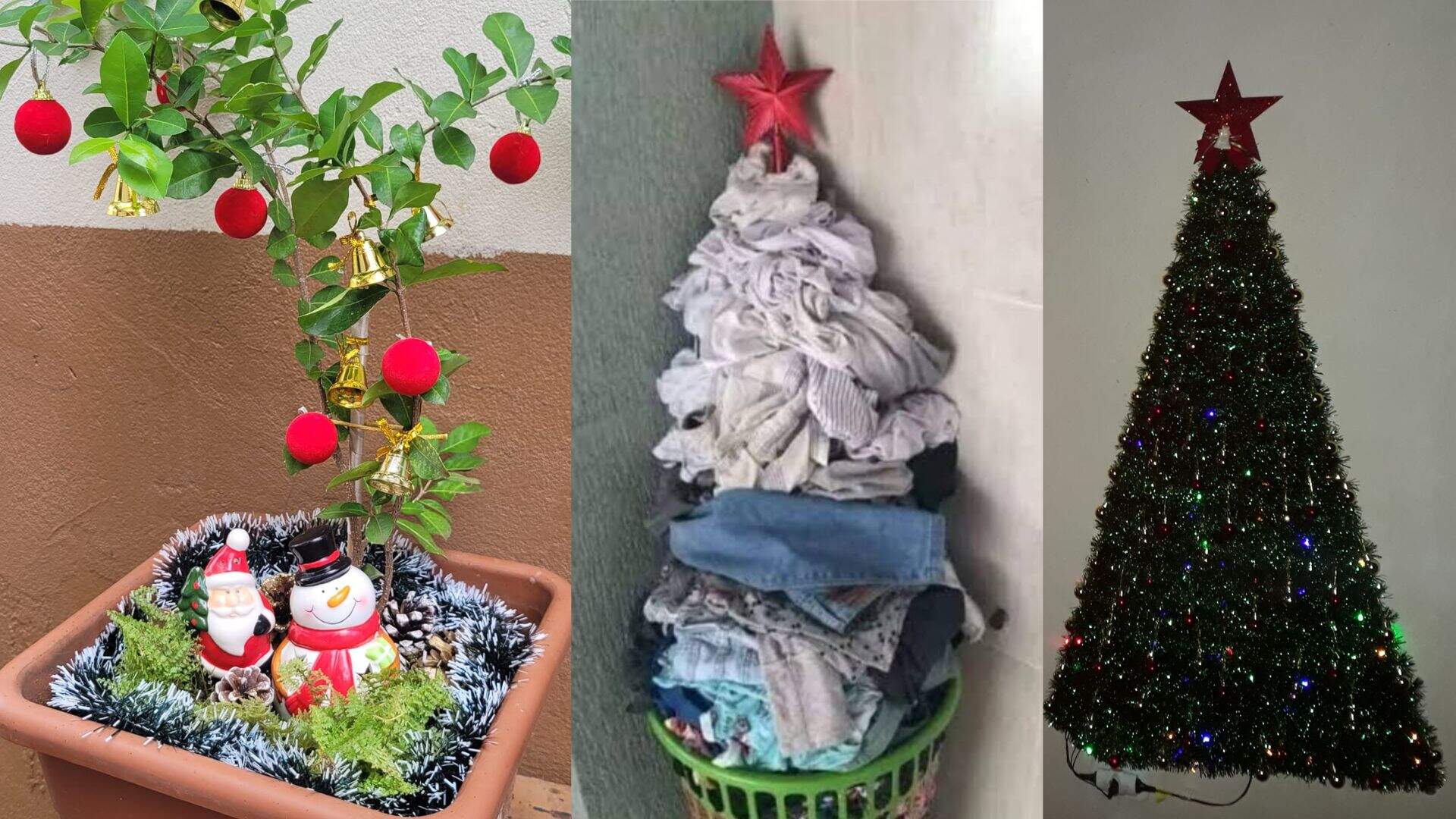 Pé de acerola e cabo de vassoura: em Campo Grande, tudo vira árvore de Natal