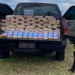Cães farejam e encontram 126 quilos de cocaína em Silverado levada em caminhão-cegonha