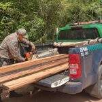 Polícia aplica multa por exploração de madeira em área protegida de mata ciliar