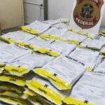 Polícia Federal apreende em rodovia de MS 240 kg de agrotóxicos contrabandeados da Bolívia