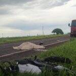 Motociclista tem corpo dilacerado após colisão com carreta em Ivinhema