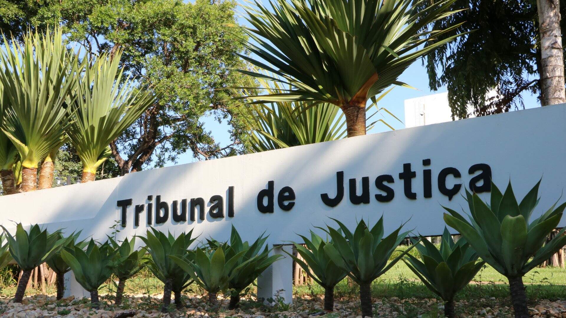 TJMS lança concurso com 15 cargos de juiz e salário de R$ 27,3 mil; confira o edital