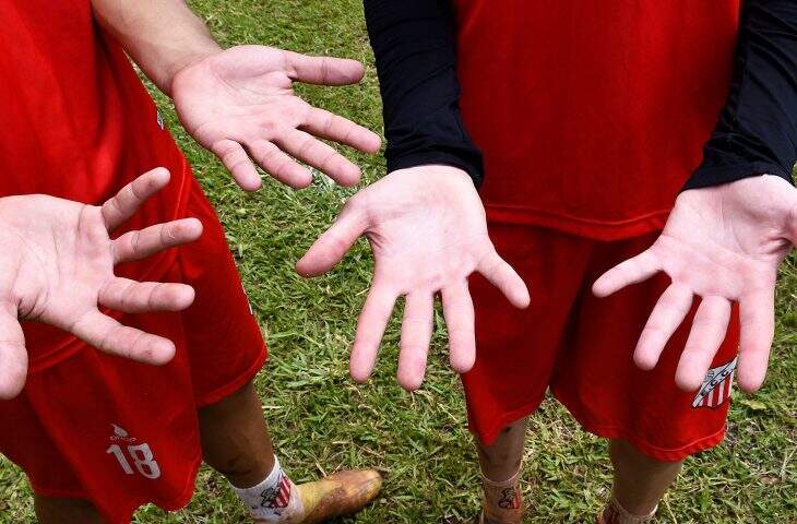 estadual futebol