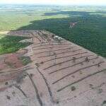 Autuações por desmatamentos caem 44% em MS, mas multas chegam a R$ 8 milhões