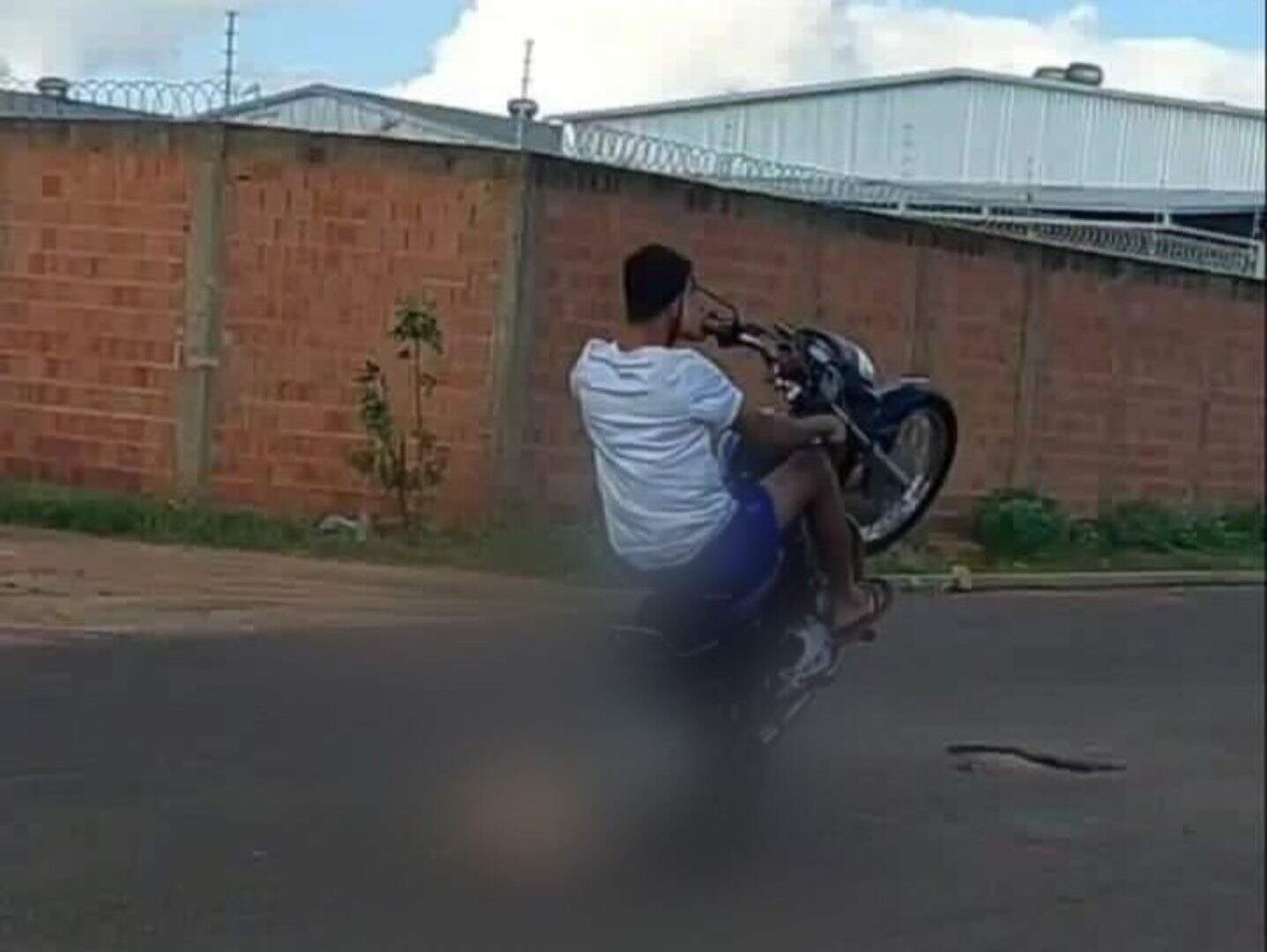 ‘Caramelo’ atropelado por suspeito que empinava moto passa bem, diz polícia
