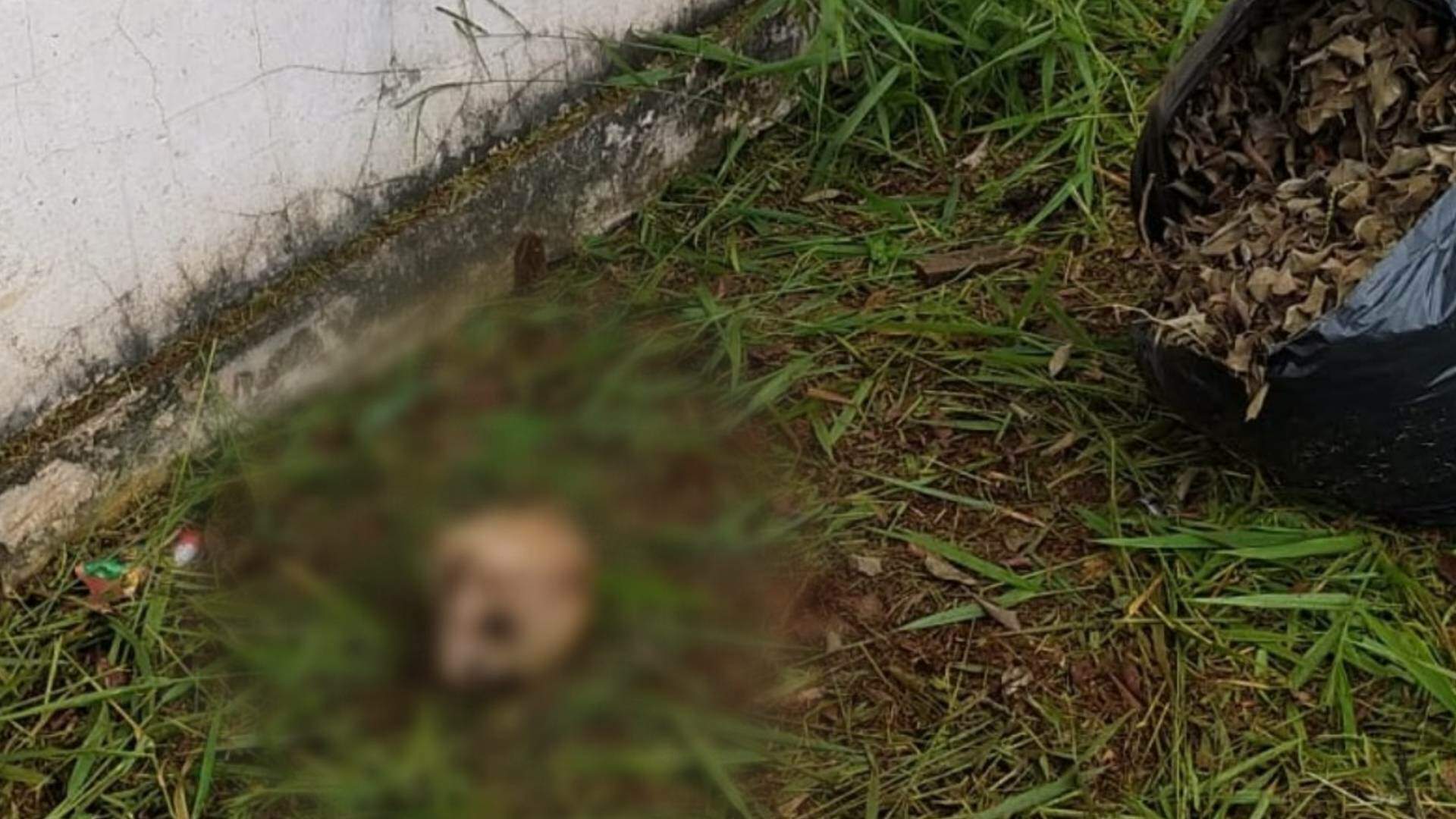 Crânio de criança é encontrado atrás de escola em Campo Grande