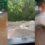 Caos: Enxurradas invadem casas e inundam ruas durante chuva em vários pontos de Campo Grande
