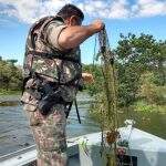 Multas aplicadas por pesca ilegal chega a R$ 288 mil em Mato Grosso do Sul