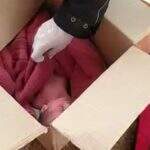 VÍDEO: Imagens mostram primeiros socorros a recém-nascido encontrado em caixa de papelão
