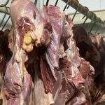 Agentes sanitários paraguaios fiscalizam açougues acusados de vender carne de cavalo