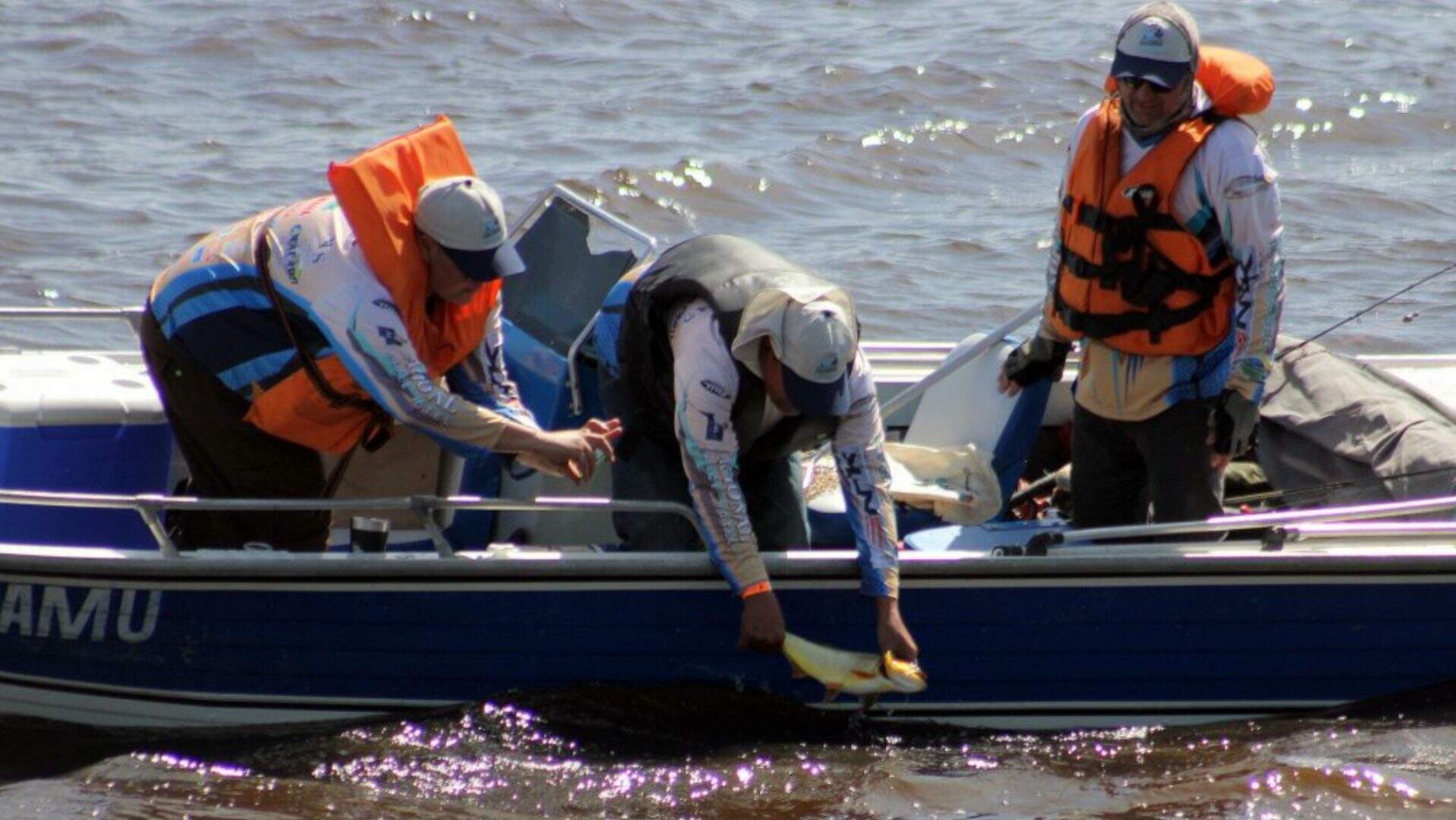 Temporada de pesque e solte está liberada nas calhas do Rio Paraguai e Paraná
