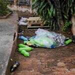 Lixo e quebradeira após 1º Carnaval na Esplanada Ferroviária é reclamação de morador em Campo Grande