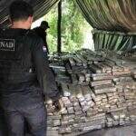 Polícia fecha acampamentos na fronteira com MS e encontra 7 toneladas de maconha