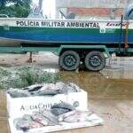 600 metros de redes de pesca são apreendidos no rio Paraná e 31 kg de peixes doados