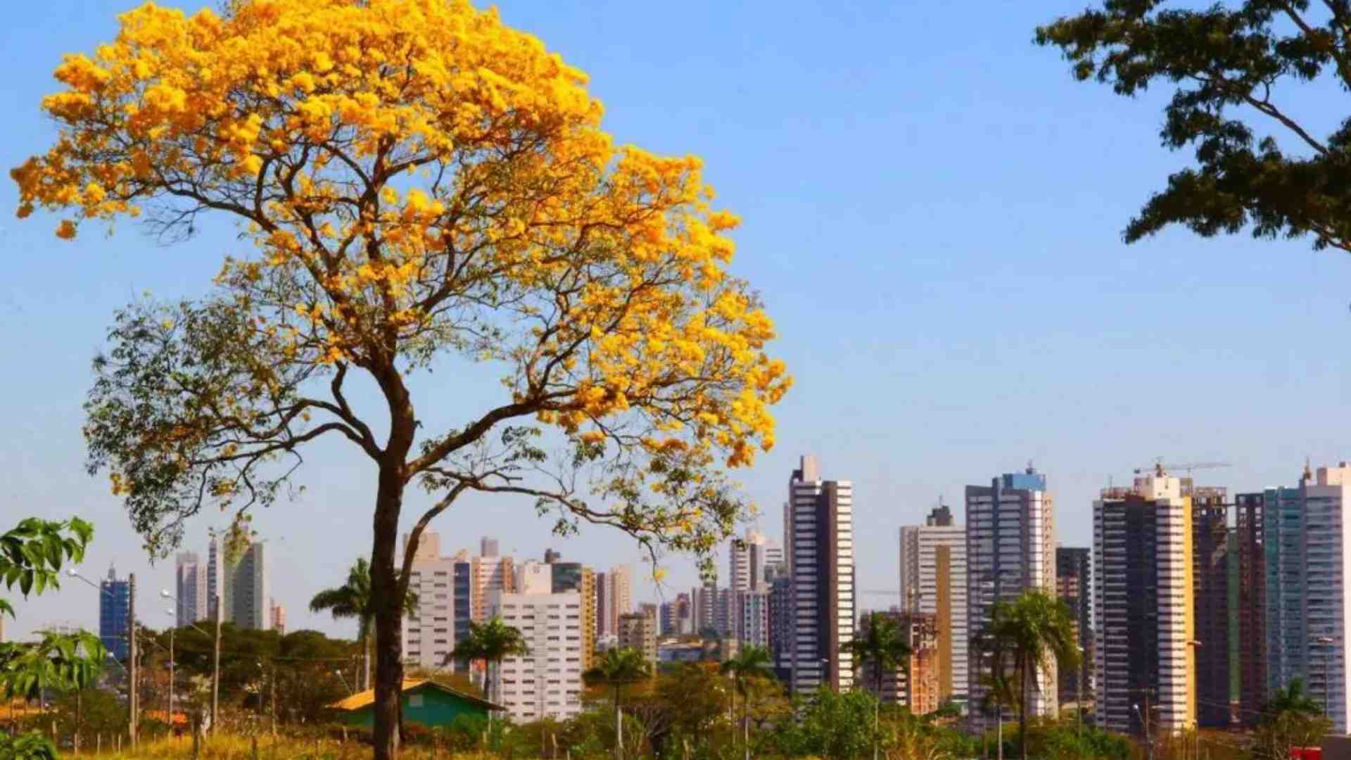 Variação no preço de venda de imóveis de Campo Grande é o maior do país em 2023