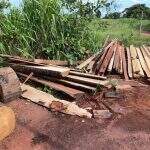 Proprietário rural é autuado por exploração e armazenamento ilegal de madeira