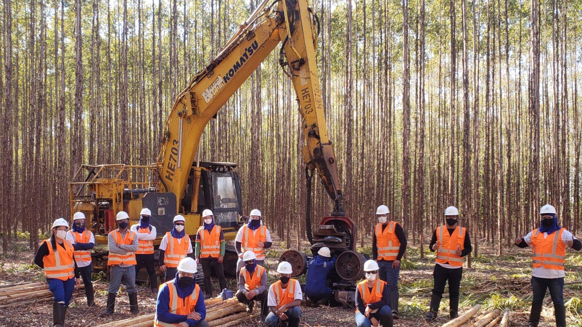 Multinacional está com 28 vagas abertas para atuar em operações em florestas de eucalipto
