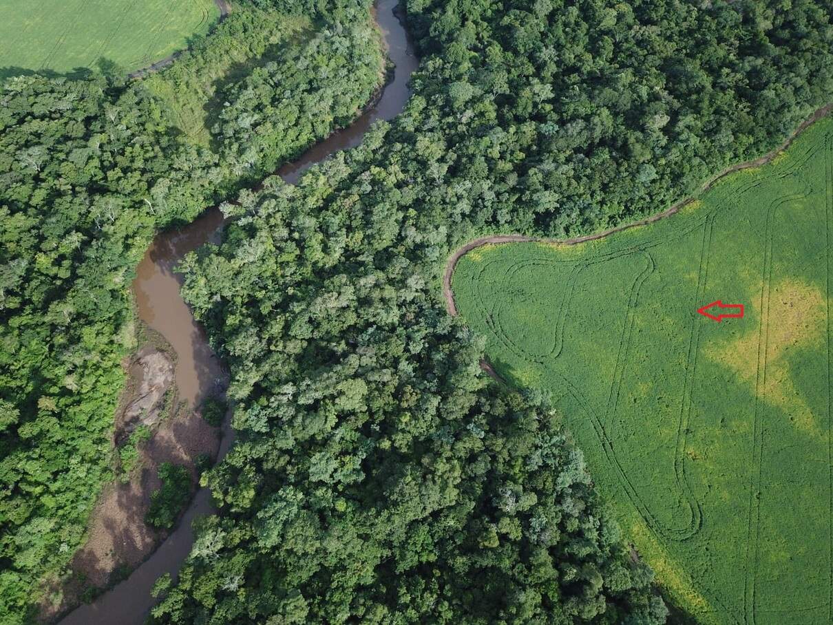 Assentado é multado em R$ 20 mil por plantio de lavoura em área protegida de reserva