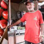 Dez anos após famoso incêndio, Noel lamenta perdas, mas resiste e ainda vende morangos