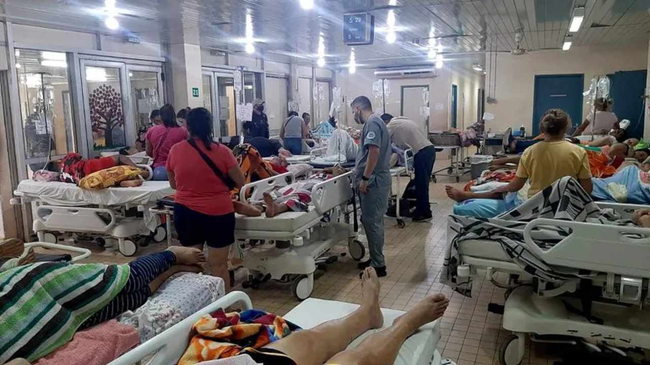 Com 45 mortes, casos de chikungunya lotam hospitais no Paraguai e alerta fronteira