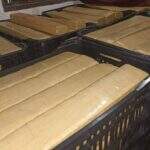 Polícia fecha entreposto em Dourados com quase 2 toneladas de maconha em caixas de verduras