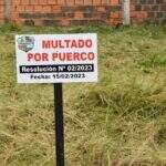 Com avanço da dengue, cidade paraguaia aplica multas e chama moradores de ‘porcos’