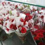 Com amantes e empresas entre clientes, venda de rosas anima o 8 de Março em Campo Grande