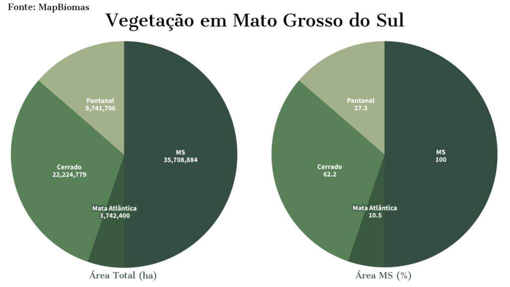 gráfico sobre vegetação em MS