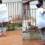 VÍDEO: Voluntária faz dancinha do Tiktok para 139 cães e diz que os ‘anjinhos de 4 patas merecem’