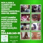 Ong Fiel Amigo realiza campanha para arrecadar ração para 300 cães e gatos