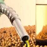 Aumento do teor de biodiesel deve vir com revisão de especificações, defende IBP