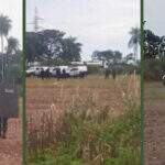 PM é acionada e três indígenas são detidos em ocupação de fazenda em Rio Brilhante