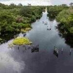 VÍDEO: Após anos de estiagem, águas cobrem estradas e criam cenas de tirar o fôlego no Pantanal