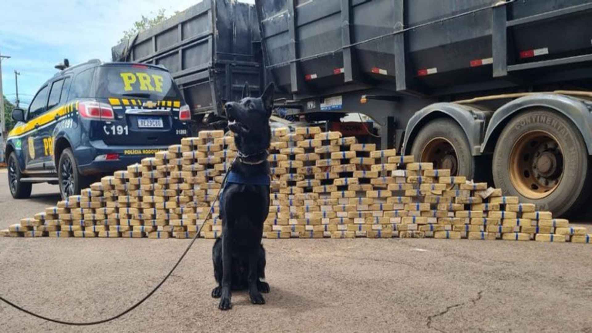 Caminhoneiro é preso após cães farejarem 210 quilos de cocaína em veículo