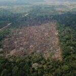 Amazônia e Cerrado batem recorde de alertas de desmatamento