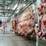 MS volta a exportar carne bovina para China após suspensão de embargo